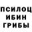 Галлюциногенные грибы Cubensis Dawid O'Dowda