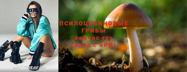mix Пестово