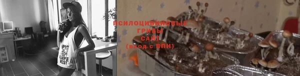 а пвп мука Пересвет
