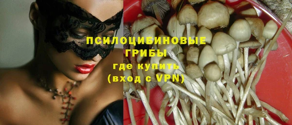Альфа ПВП Бородино