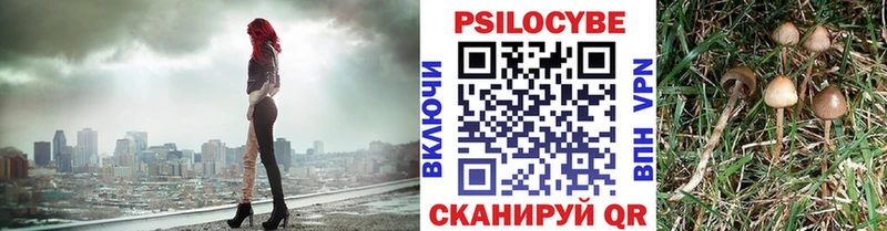 darknet телеграм  mega маркетплейс  Тимашёвск  Псилоцибиновые грибы Psilocybe 